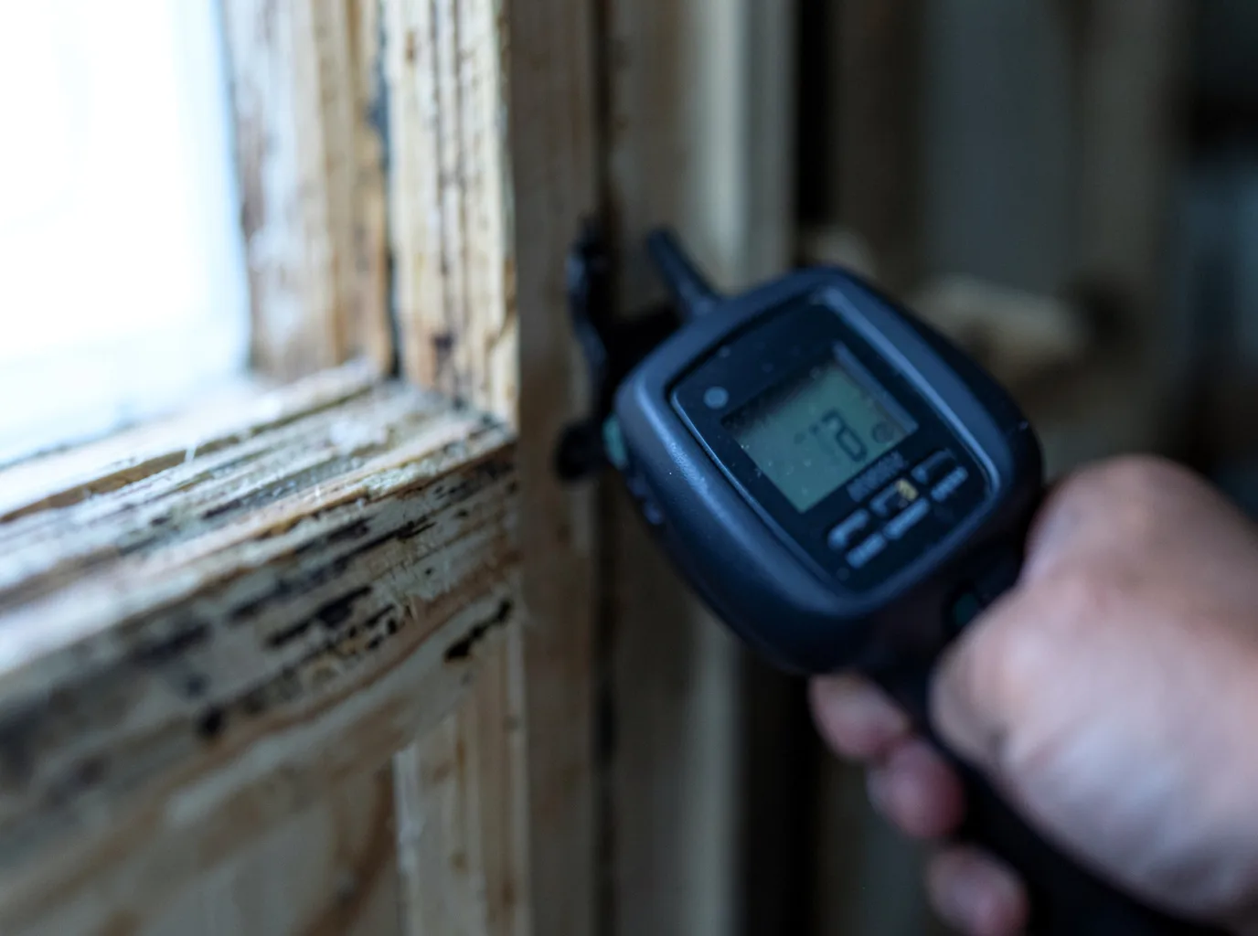 Moisture Inspection And Documentation in Big Lake, TX